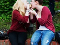 Schfst 206