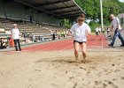 IMG 1513