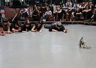 IMG 2230