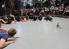 IMG 2232