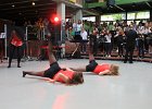 IMG 2263