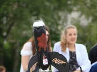 IMG 7135