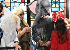 DSC 7218
