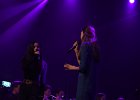 DSC 8613
