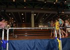 DSC 0982