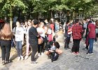 DSC 8337