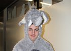 IMG 0694