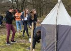 IMG 1010