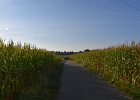 DSC 9009