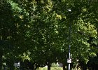 DSC 9200