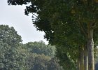 DSC 9271
