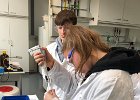 DNA-Extraktion gelungen
