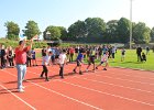 IMG 3908