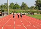 IMG 3922