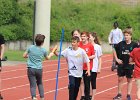 IMG 3971