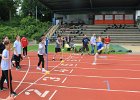 IMG 4008