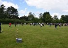 DSC 6774
