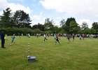 DSC 6775