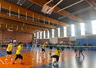 IMG 7933