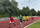 IMG 8766