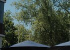 DSCF8354