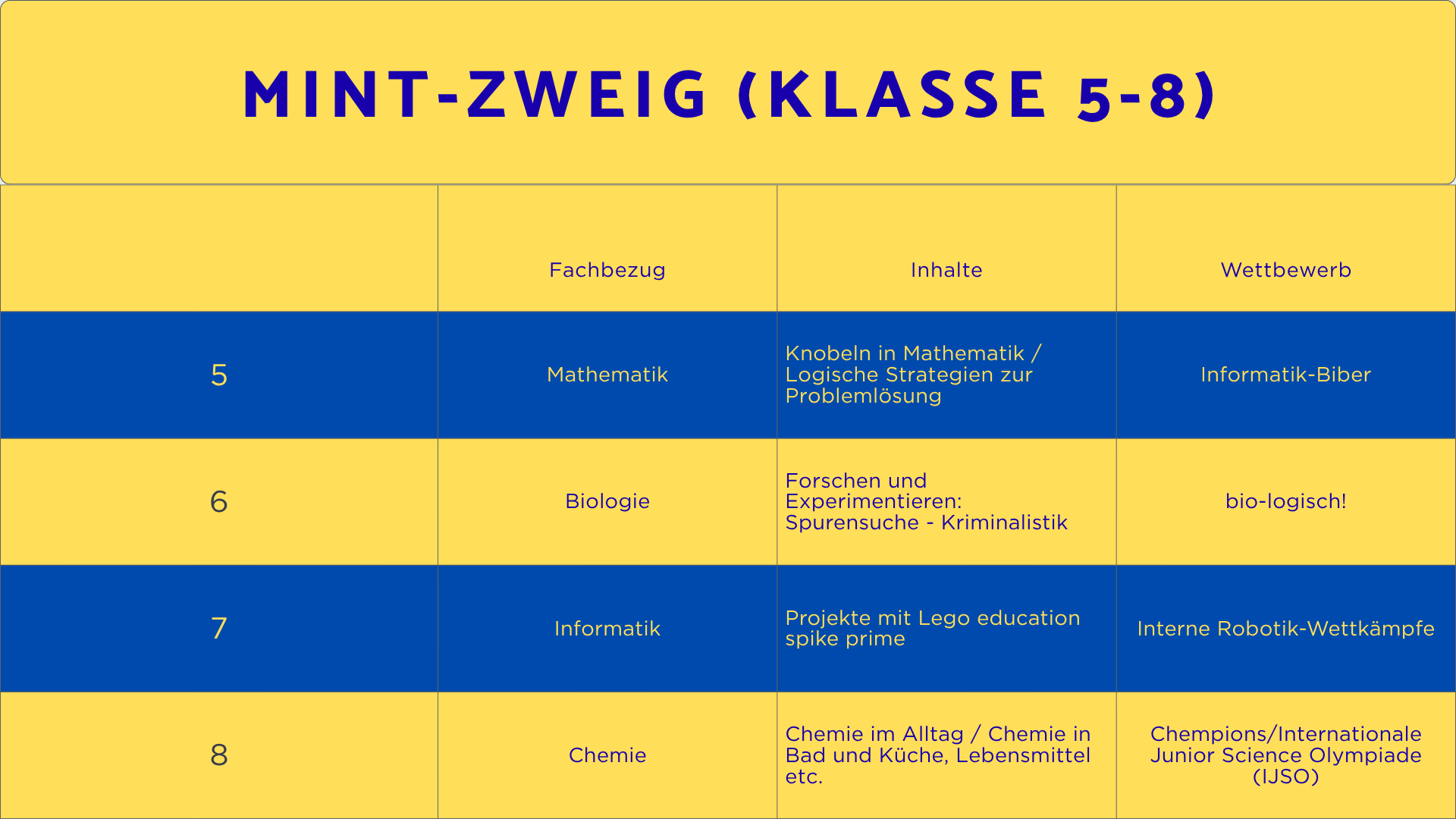 MINT-Zweig (Klasse 5-8)(11)